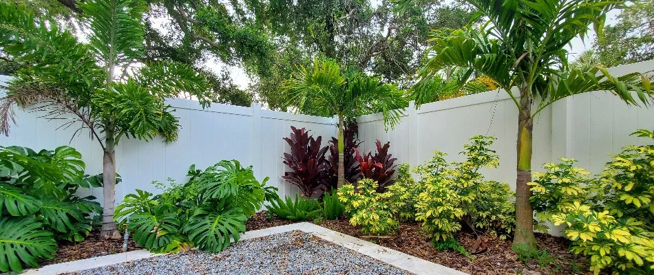 Trimmed and pruned plants in New Smyrna Beach, FL, in a landscape bed.