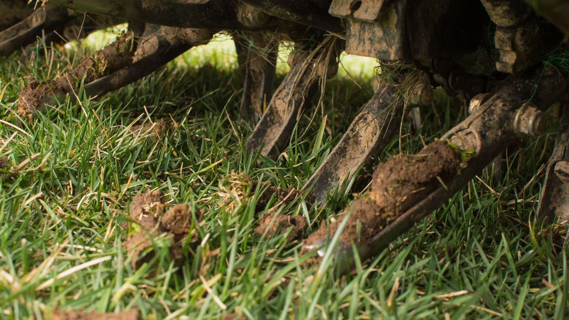 Core Aeration Aftercare Guide for Your Lawn