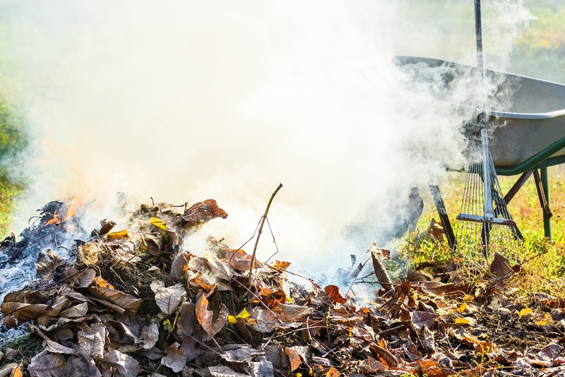 3 Alternatives to Burning Yard Waste Leafy Landscapes