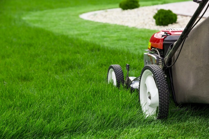 4 Tips for a Great-Looking Lawn