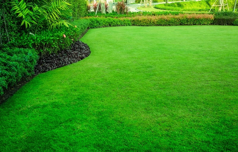 3 More Tips for a Healthier Lawn