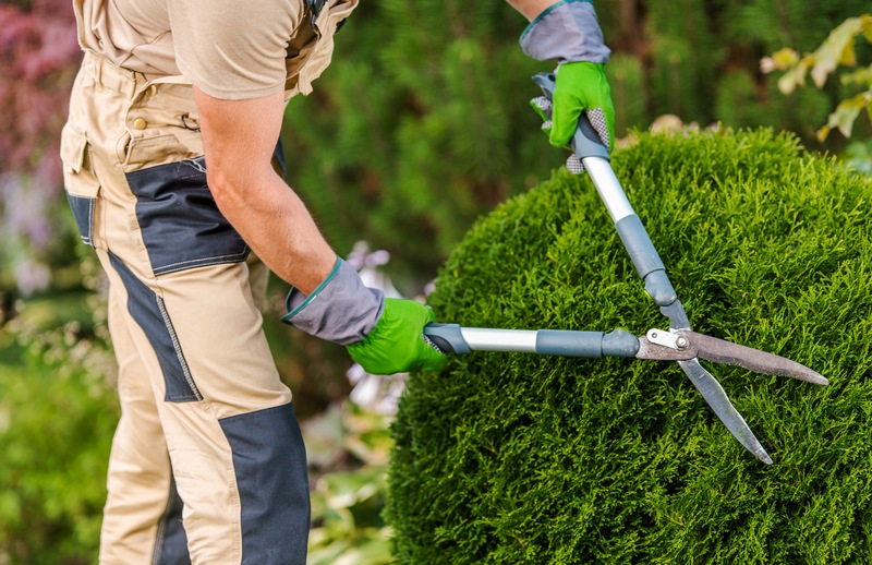 4 Questions to Ask a Landscape Contractor