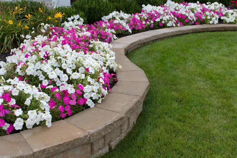 Landscaping Tips to Add Interest and Ambiance