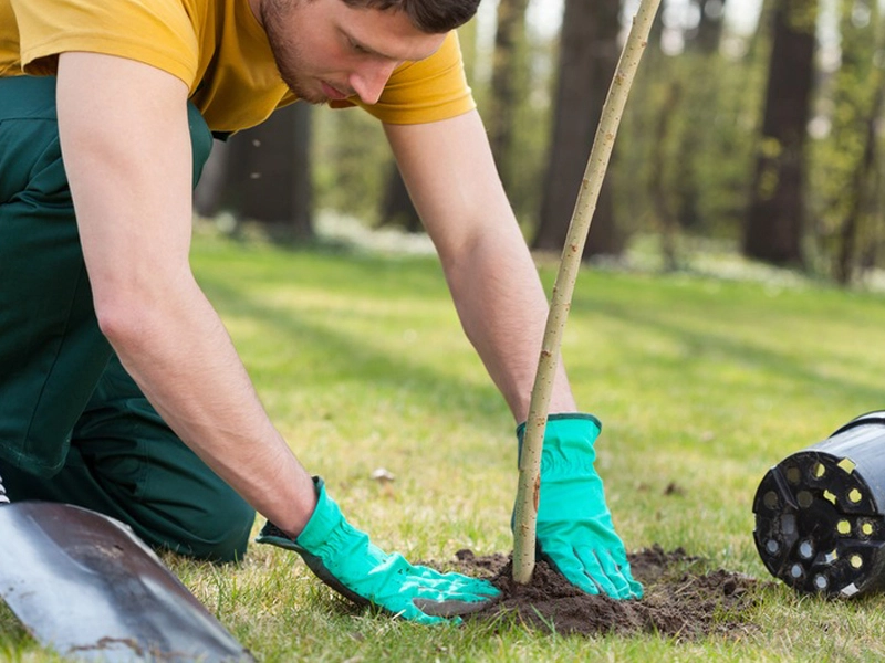 5 Lawn Care Goals in Port Orange for 2021