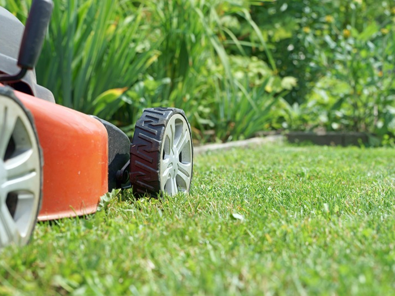 How New Smyrna Lawn Care Professionals Can Help You Mow Less