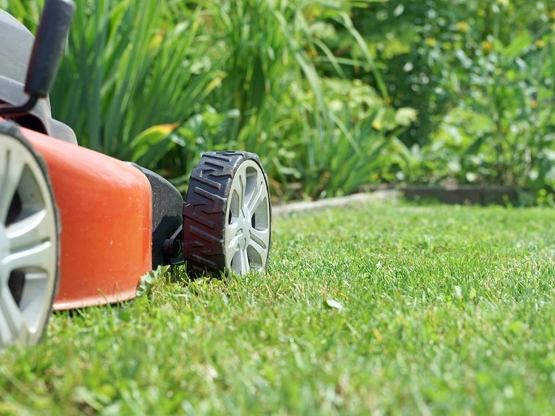 How New Smyrna Lawn Care Professionals Can Help You Mow Less