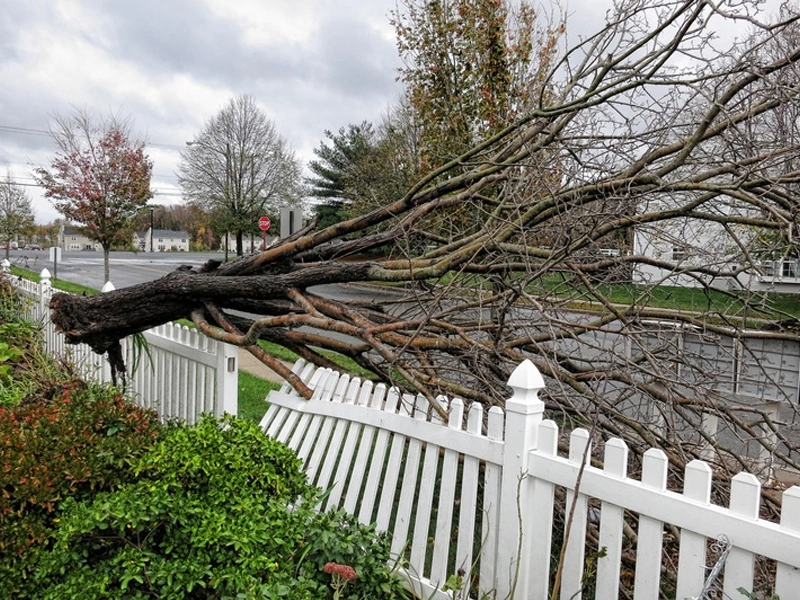 Yard Maintenance Tips to Get Ready for Hurricane Season