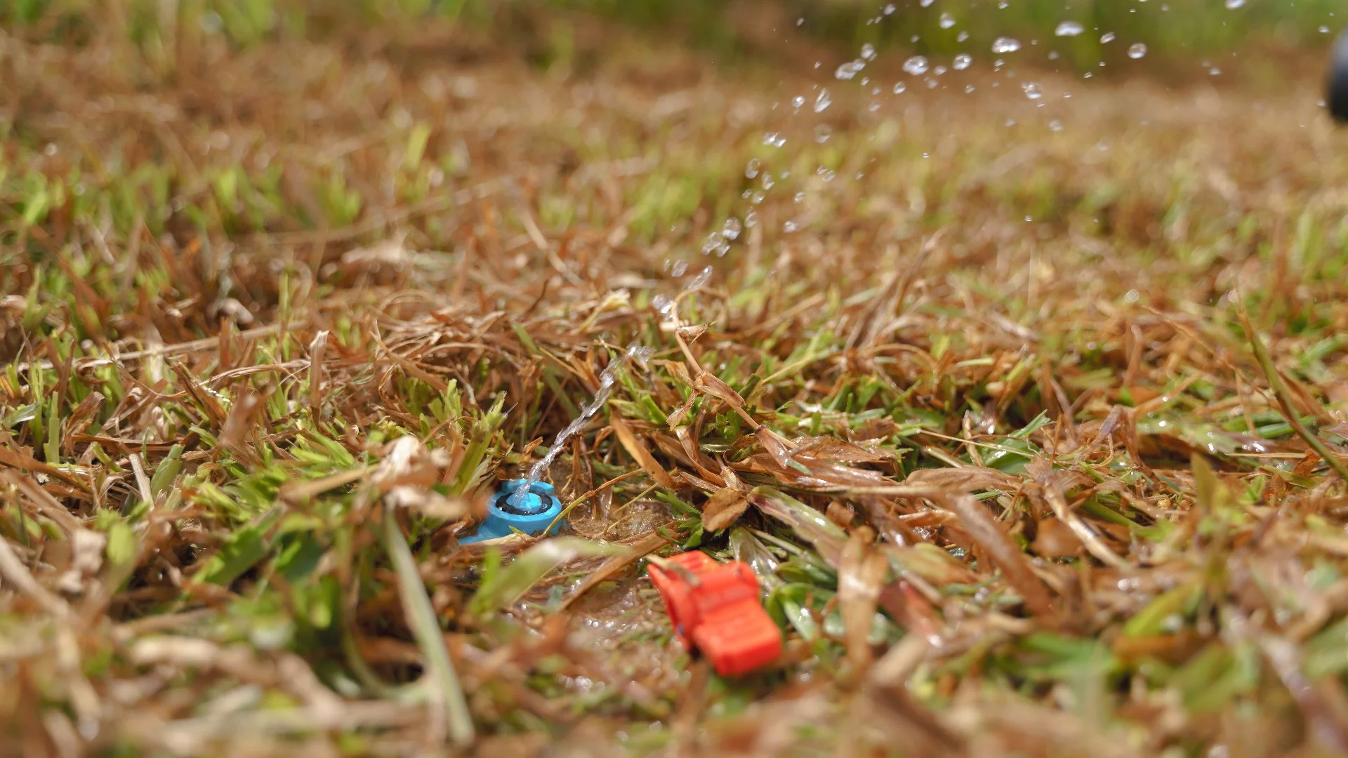 What’s Causing Your Irrigation System to Have No Water Pressure?