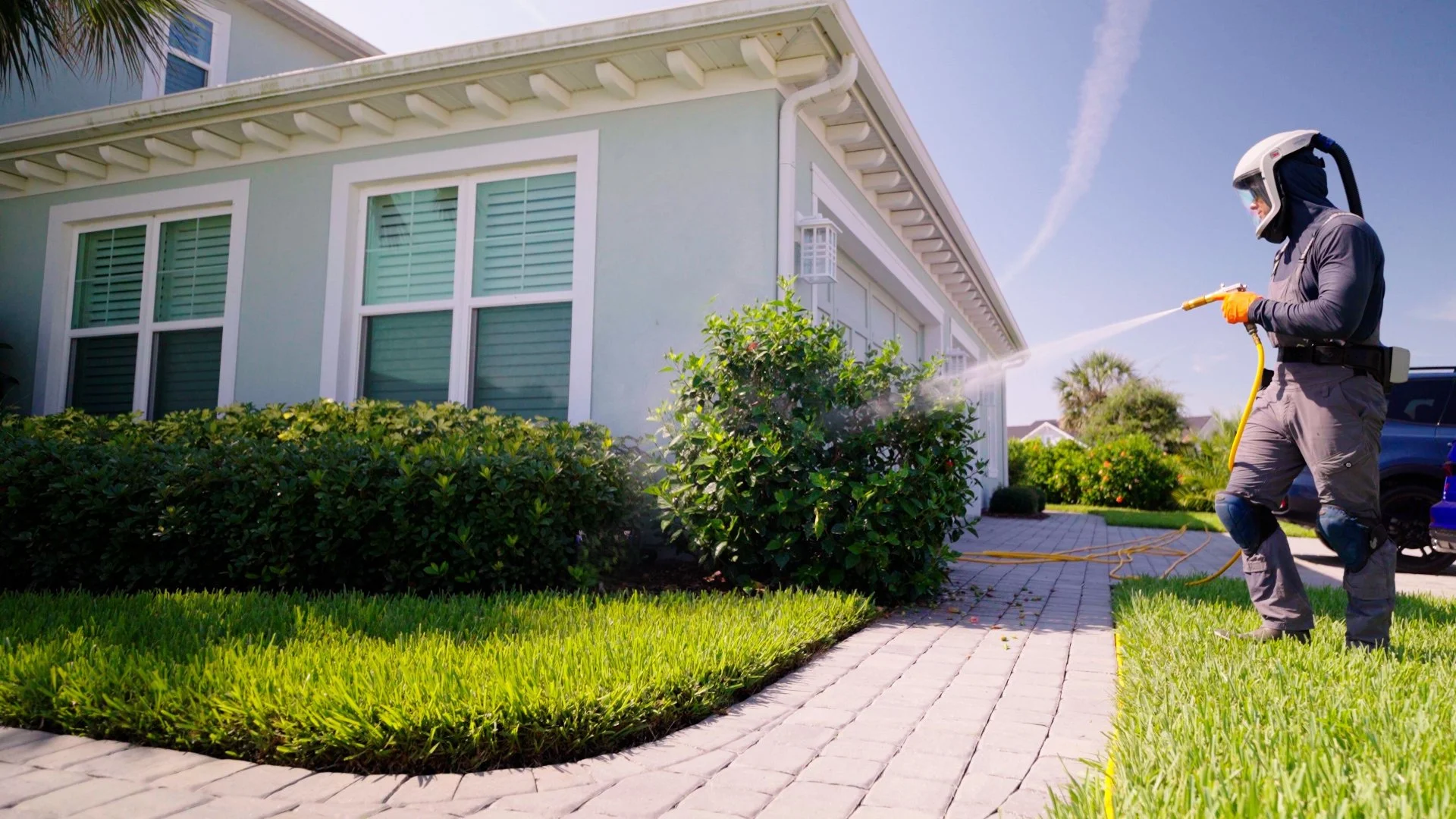 What Does Horticultural Oil Do for Trees & Shrubs?