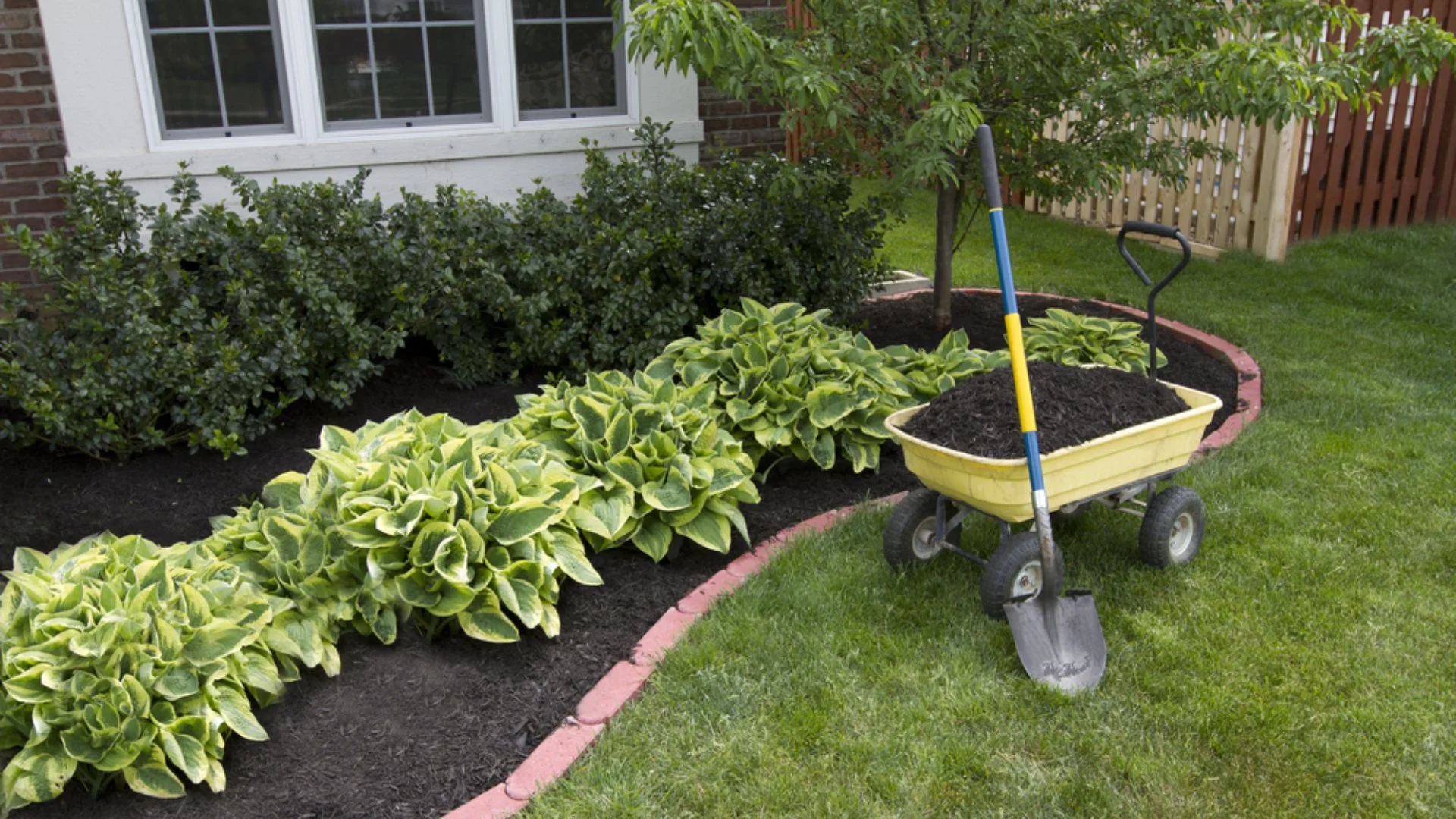 How Thick Should You Lay Landscape Mulch?