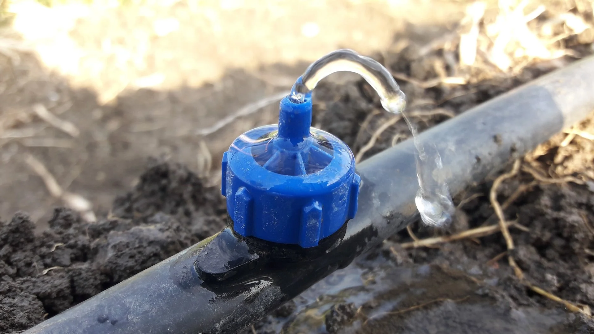 What Irrigation System Should You Install for Landscape Beds?