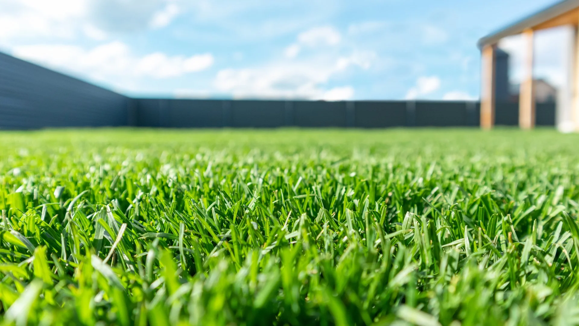 How Does Soil Compaction Affect Your Lawn's Health?
