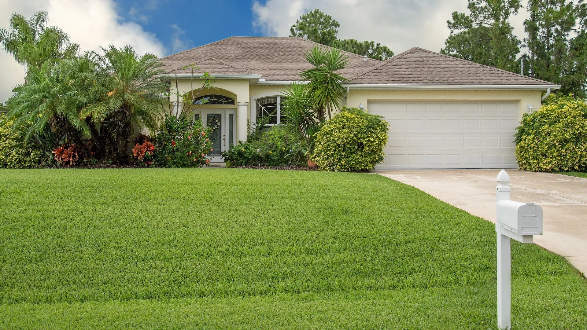 How Regular Mowing Can Help Reduce Weeds on Your Lawn