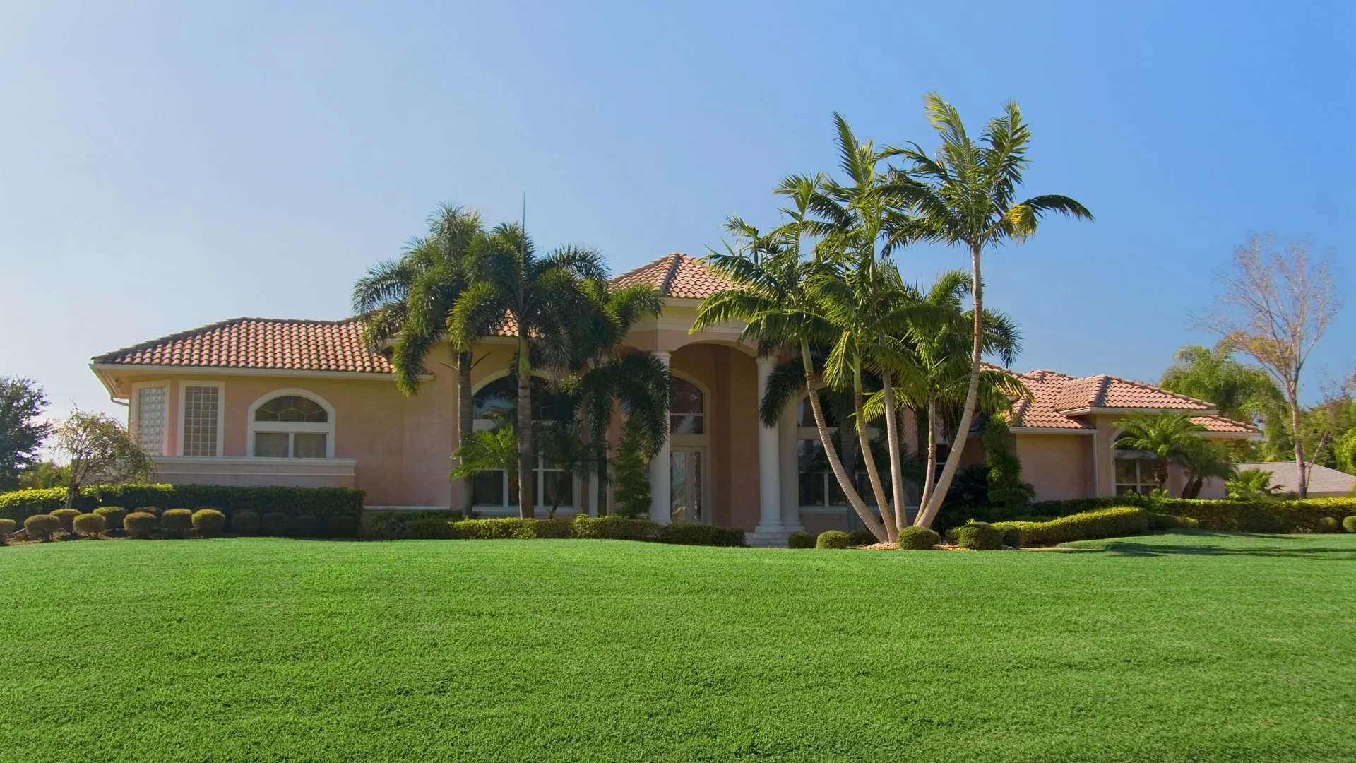 Sprucing up Your Yard Before Summer - What Should You Do?