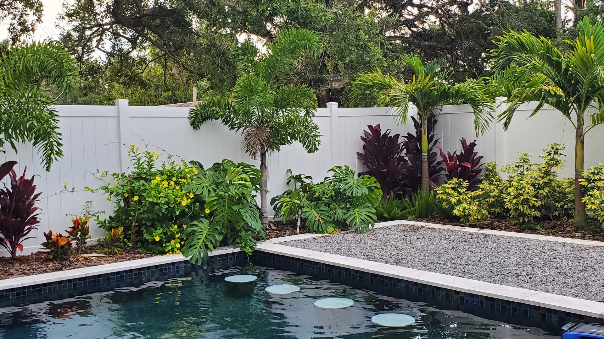 Signs Your Trees & Shrubs Are Nutrient Deficient