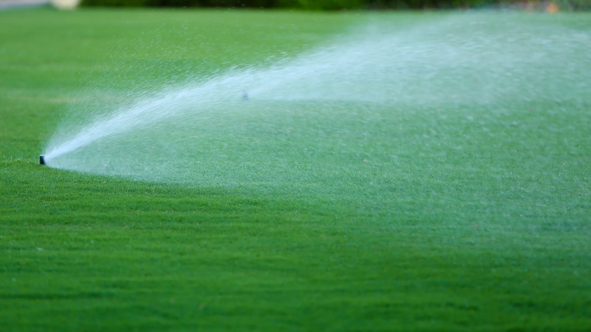 You May Notice These Things if Your Irrigation System Has a Leak