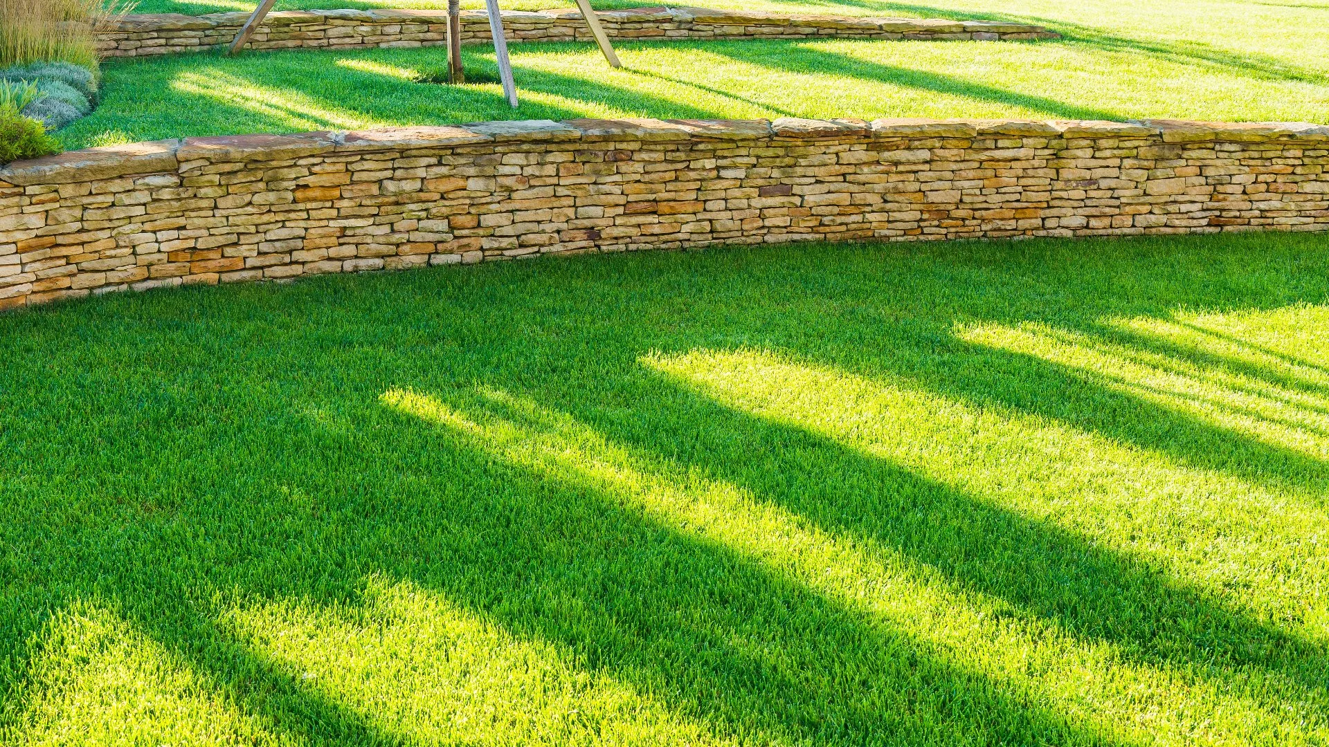 A Lush, Green Lawn in the Spring Starts with Fall Lawn Care!