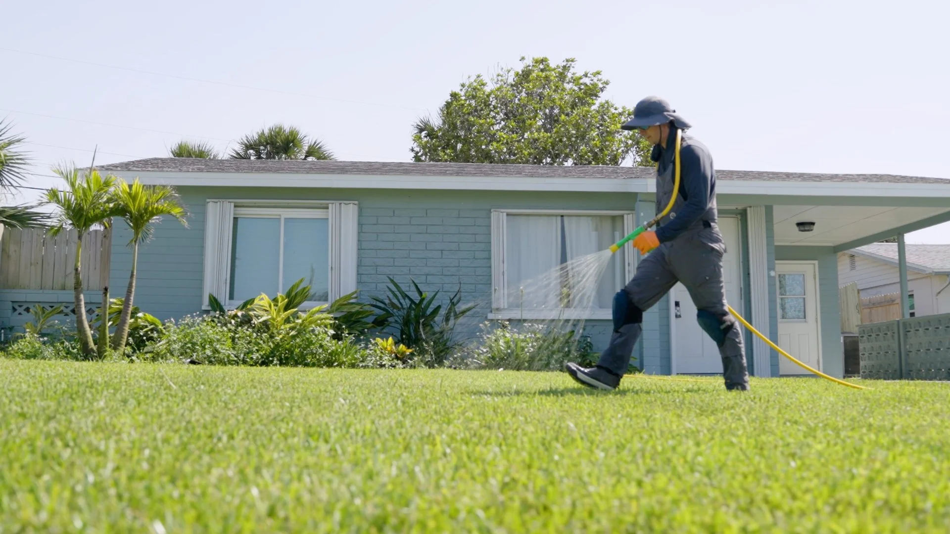 Do Lawns in Florida Still Grow Throughout the Winter?