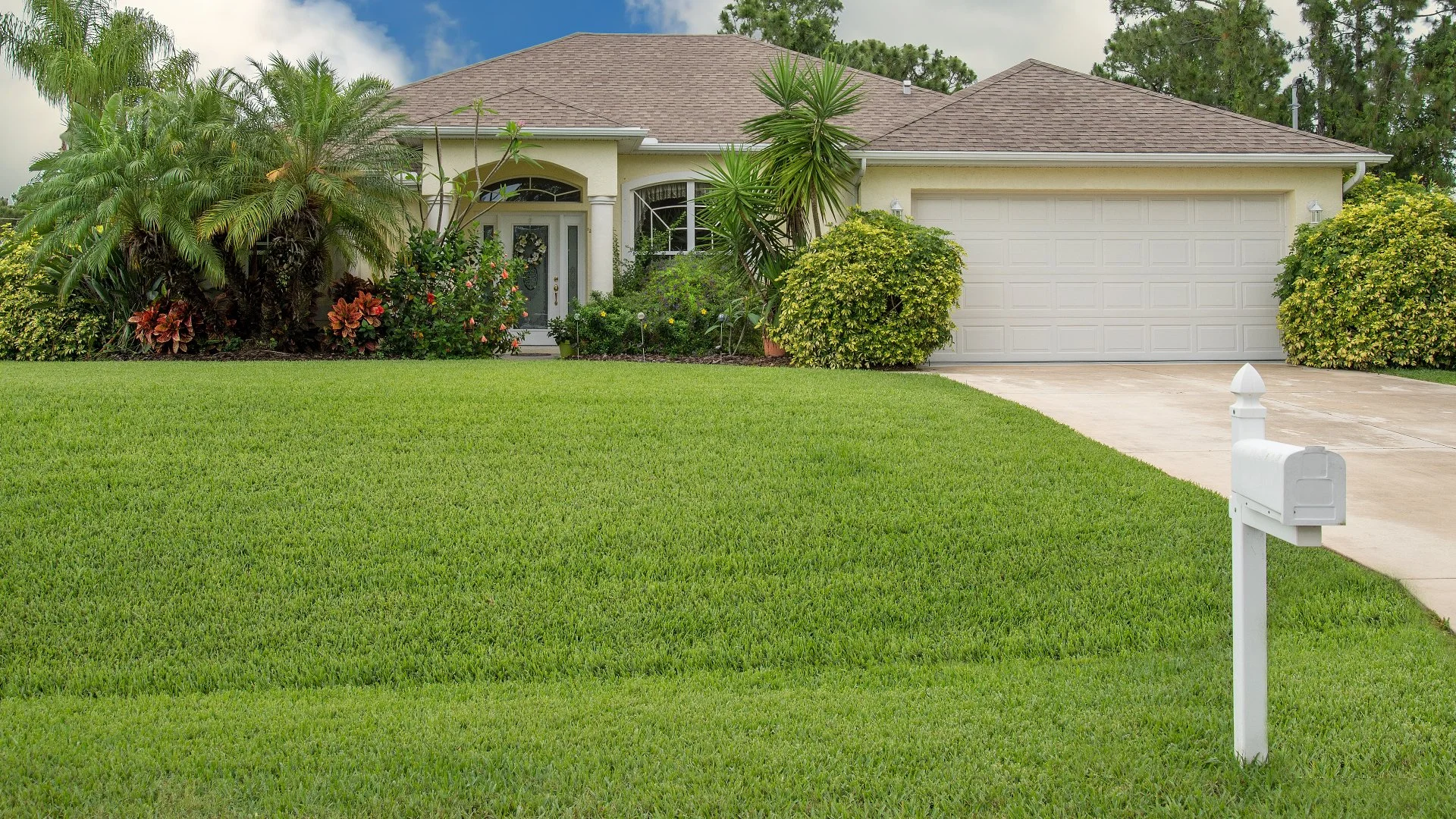 1/3 Rule for Mowing: What Is It & Why Should You Follow It?