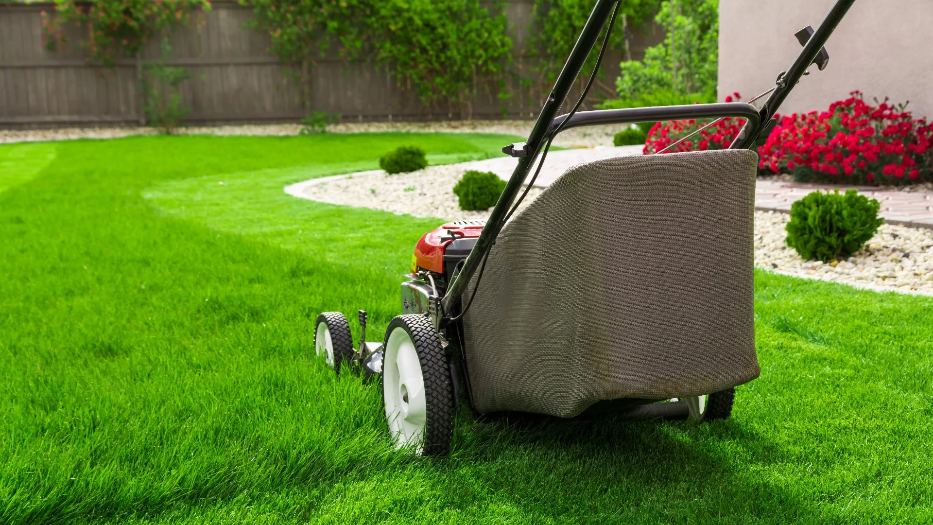 The Best Time of Day to Mow Your Lawn