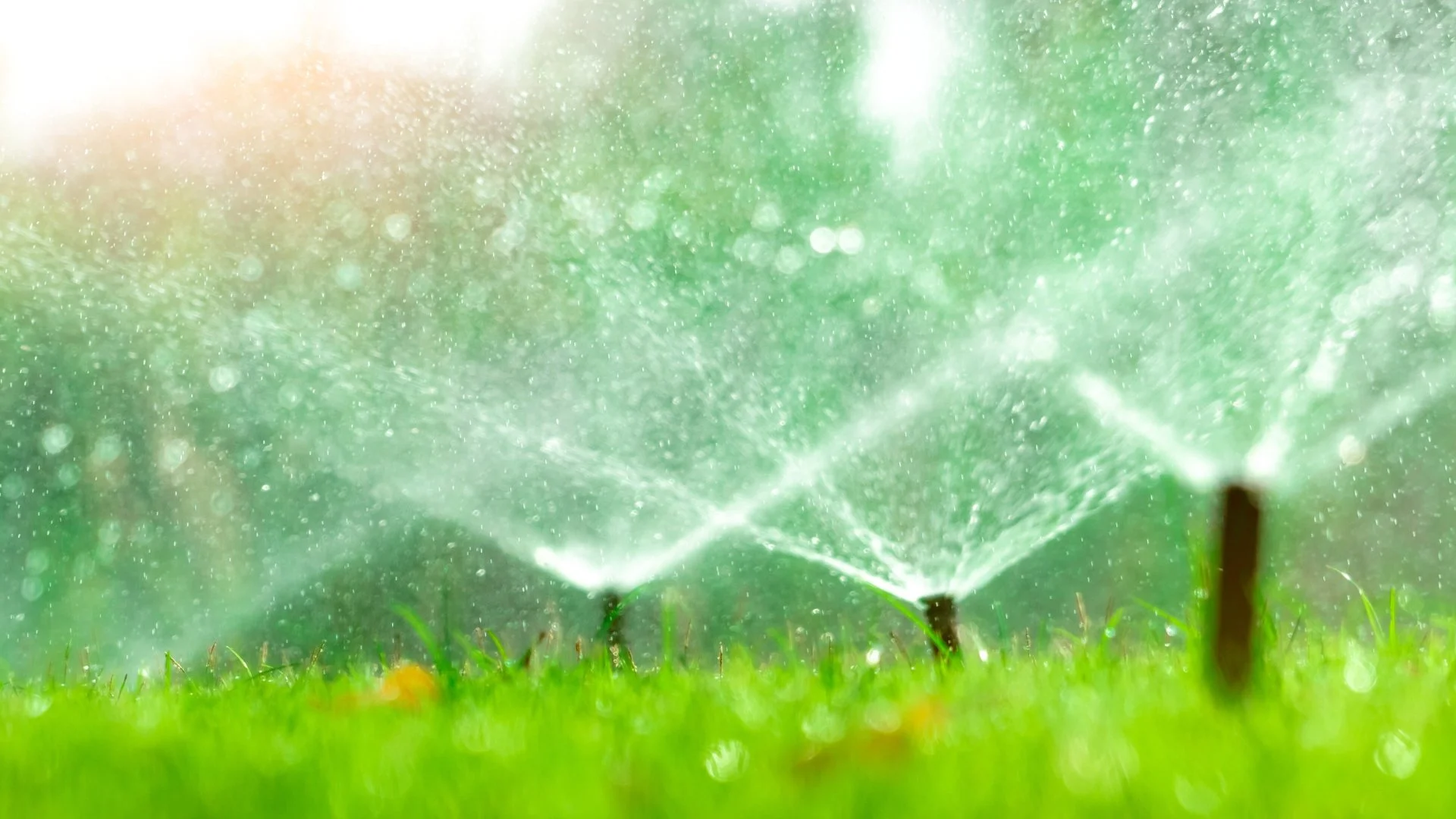 Smart Irrigation Systems: The Ideal Watering Solution