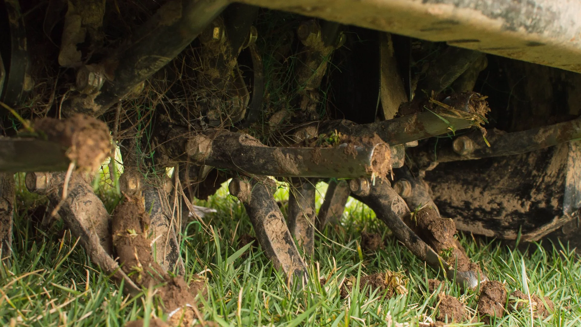 How Core Aeration Impacts Your Lawn - Pros & Cons