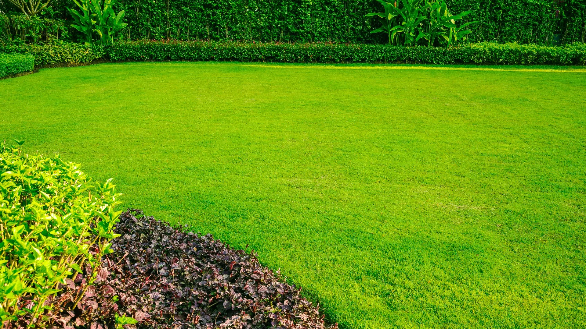 These Fertilizer Nutrients Play an Integral Role in Your Lawn's Health