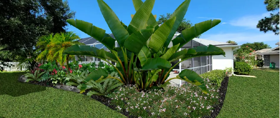 3D rendering of landscape in New Smyrna Beach, FL, with tropical plants.