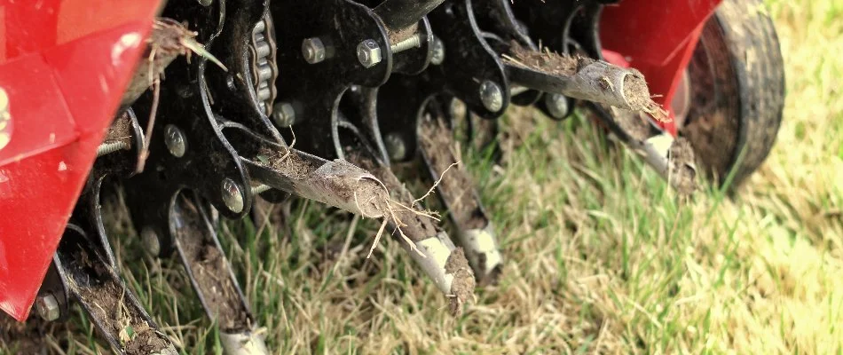 Aerator machine in New Smyrna Beach, FL, with soil plugs.