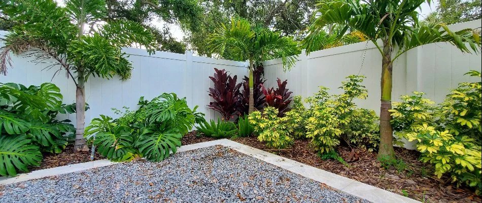 Colorful tropical plants and shrubs in mulch in New Smyrna Beach, FL.
