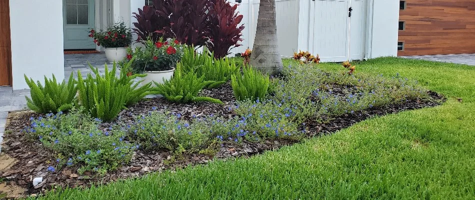 Flowers and mulch on a landscape bed in New Smyrna Beach, FL.