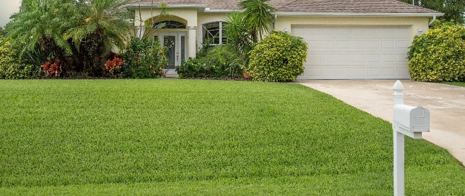 Green lawn, a house, and tropical plants in New Smyrna Beach, FL.
