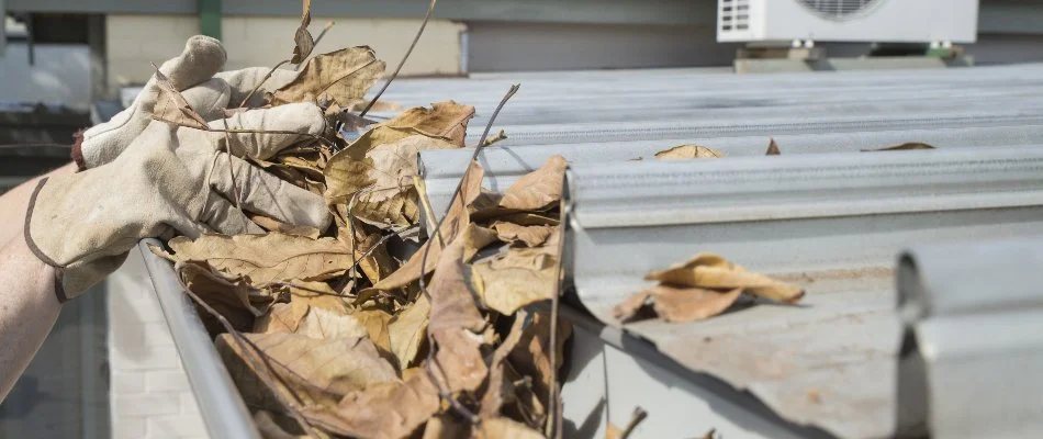 Gutter in New Smyrna Beach, FL, with dry leaves.