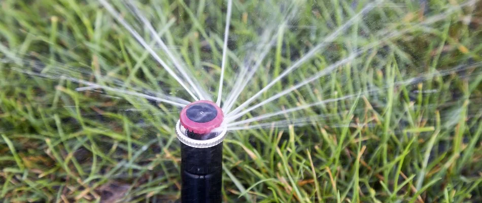 Irrigation sprinkler head watering grass in New Smyrna Beach, FL.