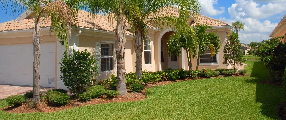 Lawn in Florida with palm trees.