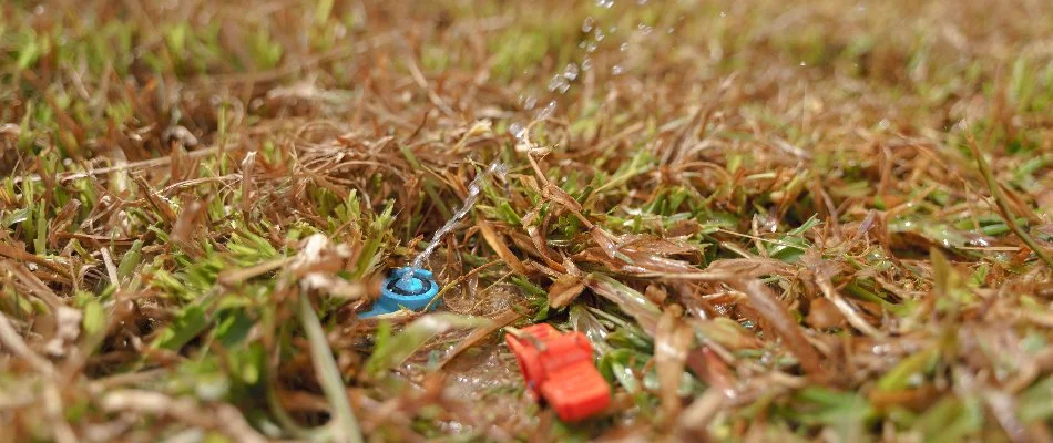 Low water pressure on a sprinkler head in New Smyrna Beach, FL.
