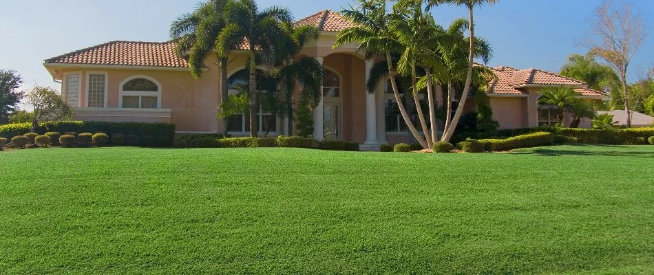 Lush, green lawn and a house with palm trees in New Smyrna Beach, FL.
