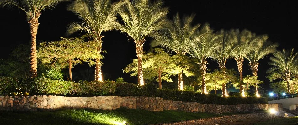 Outdoor lighting on palm trees in New Smyrna Beach, FL.