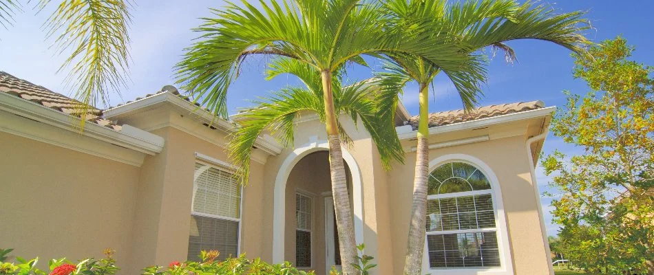 Palm trees outside a house in New Smyrna Beach, FL.