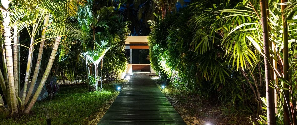 Trees and outdoor lights along a walkway in New Smyrna Beach, FL.