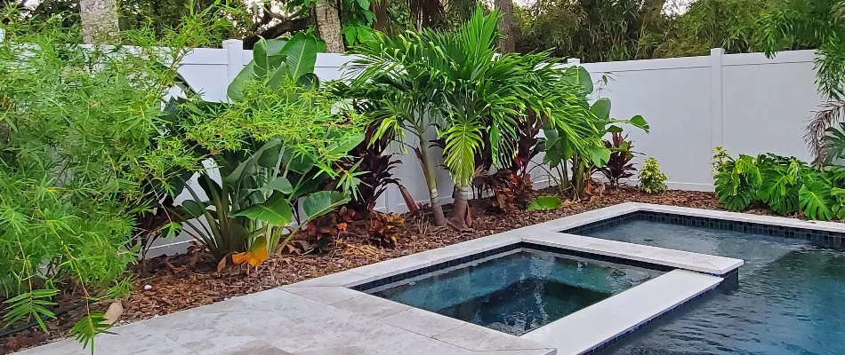 Tropical plants in a mulched landscape bed in New Smyrna Beach, FL.
