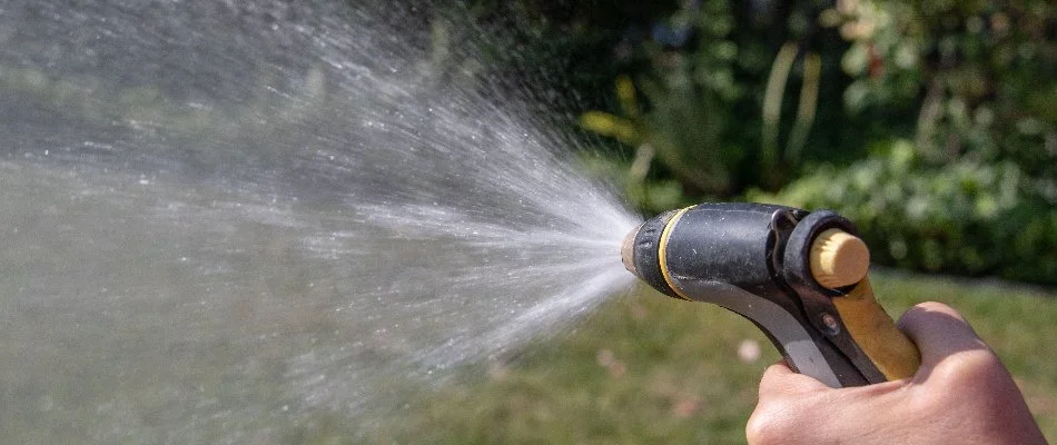 Watering grass in New Smyrna Beach, FL, using garden hose.