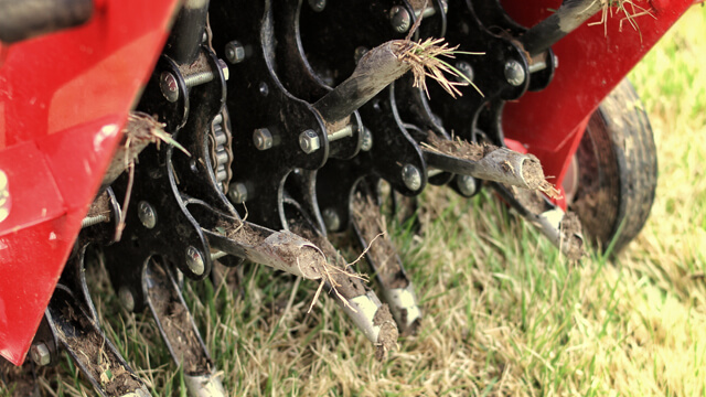 Leafy Landscapes Core Aeration Service
