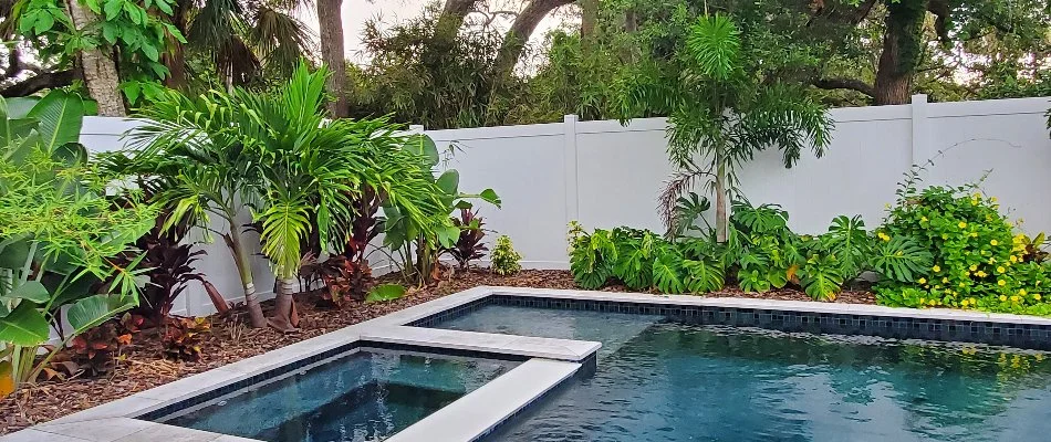 Landscape bed around a pool in New Smyrna Beach, FL, with tropical plants.