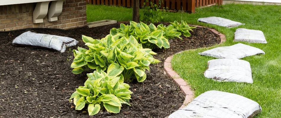 Mulch in landscape beds on a property in New Smyrna Beach, FL.
