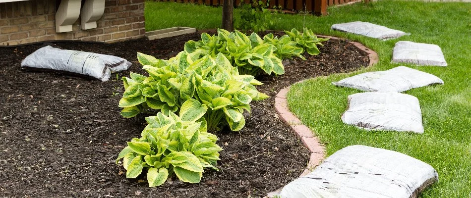 Mulch in a landscape bed with plants in New Smyrna Beach, FL.