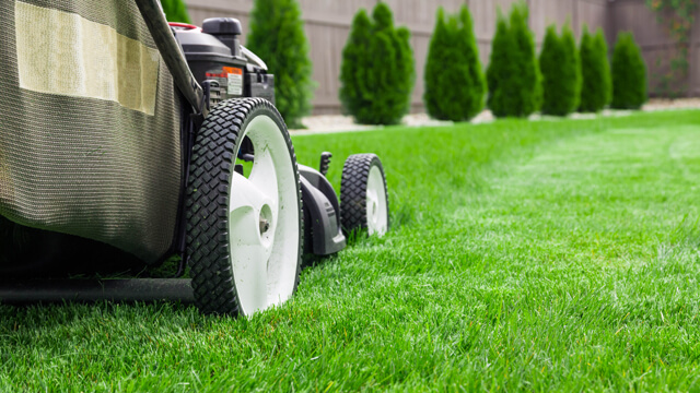 Leafy Landscapes Lawn Mowing Service