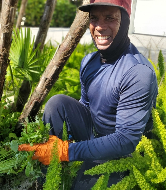 Leafy Landscapes crew working on a landscape garden in New Smyrna Beach, FL.