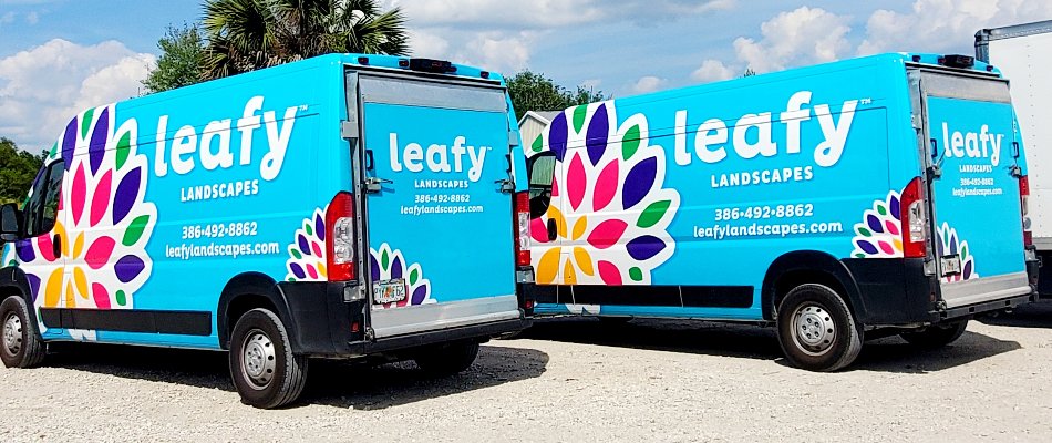 About Us | Leafy Landscapes