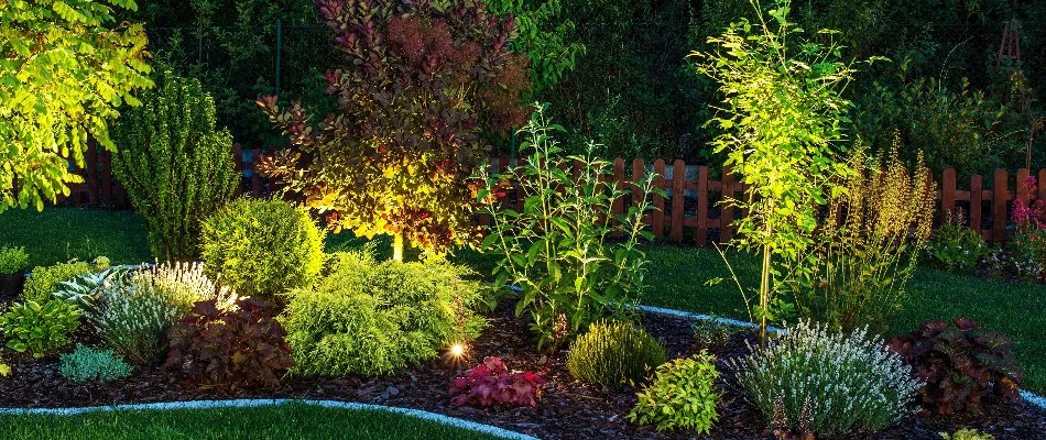 Landscape lighting system in landscape bed in New Smyrna Beach, FL.